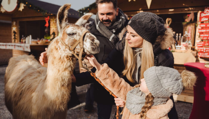 Advent am Pyramidenkogel